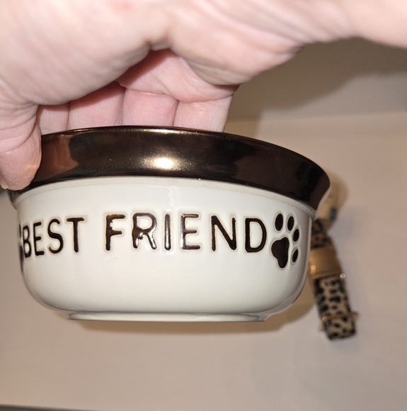 Boots & Barkley Large Animal Print Dog Collar NEW & Best Friends Ceramic Bowl - Picture 7 of 10